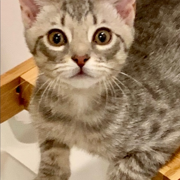 Meet your Posher, Cassie + Rob - Picture 3 of 3